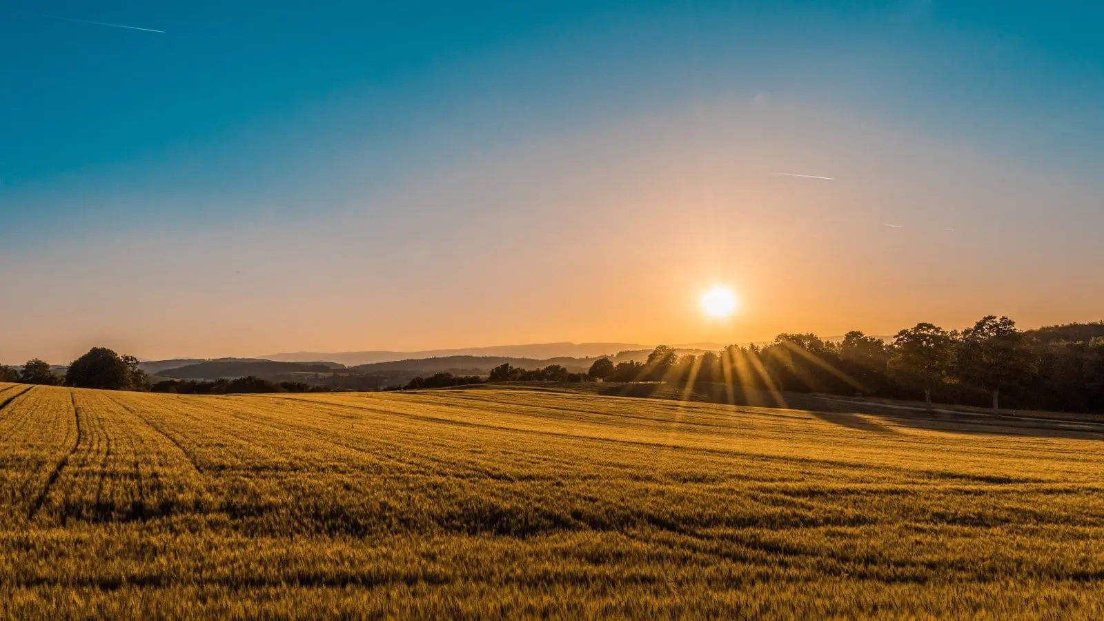 Farmland at harvest under a low sun