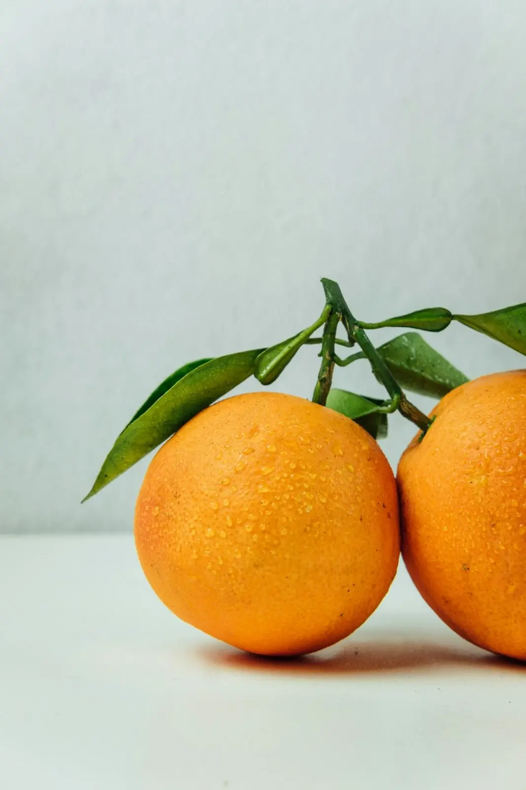 Ripe Valencia oranges with a leafy stem against a pale background