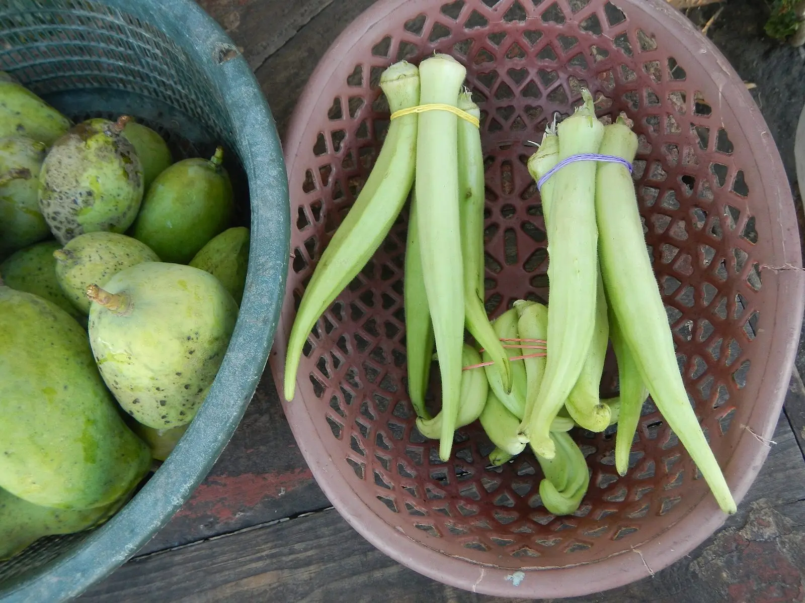 Fresh vegetables